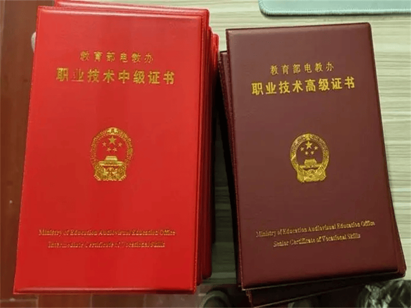 极简高级荣誉证书样品
